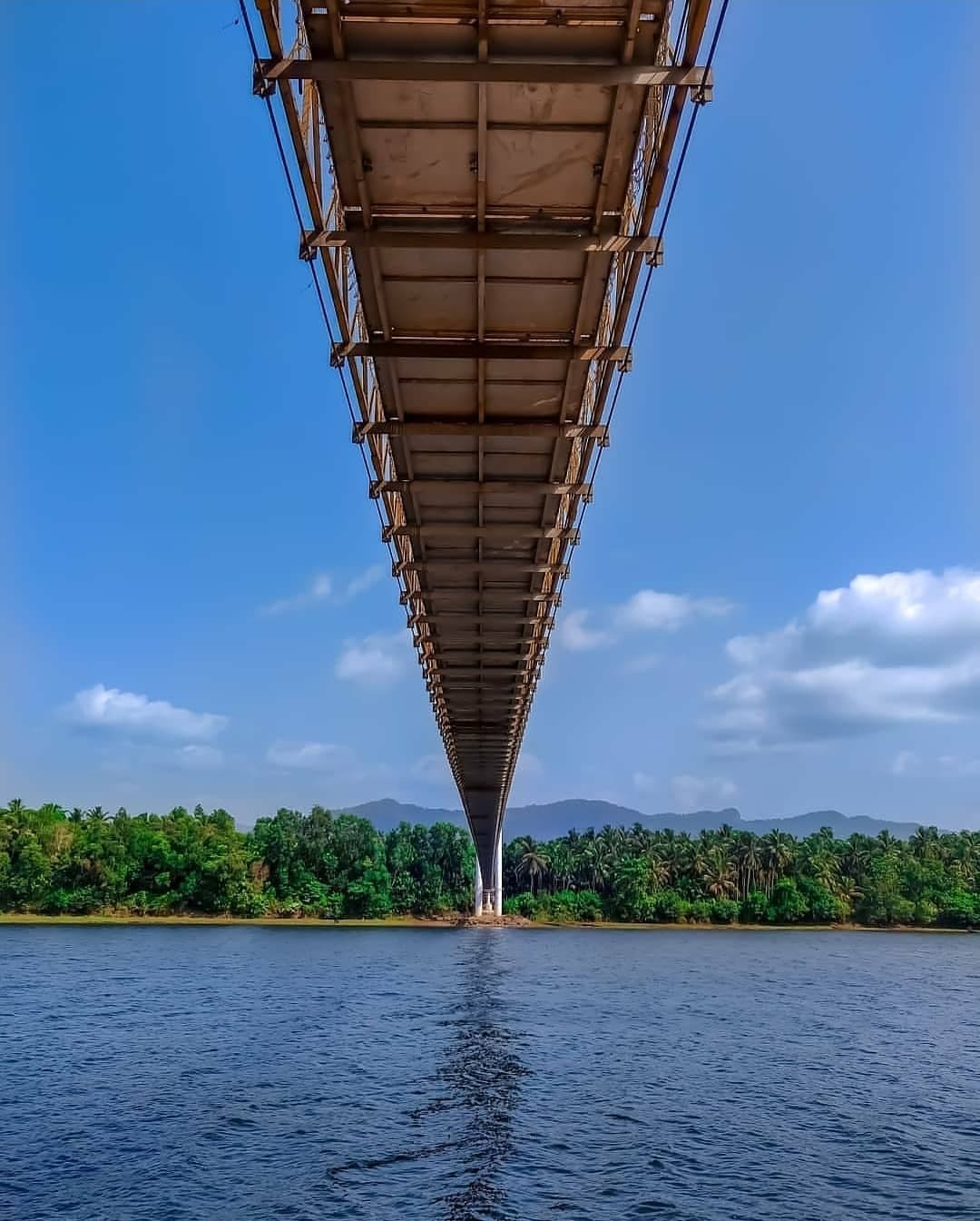 Bridge project showcase